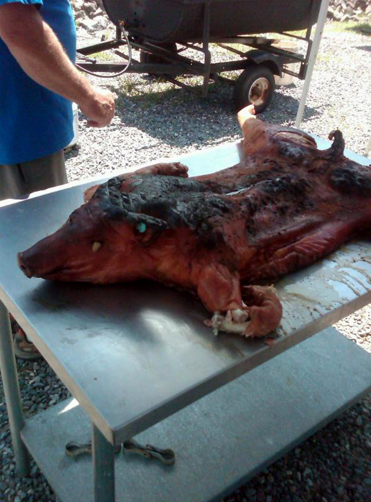THE 2010 Pig
