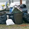 Beginning of the Trash Heap