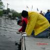 Repairing the Dock at Bordentown Beach