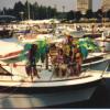 1991 Photos