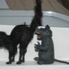 Halloween Cat & Rat on the Capt Hook